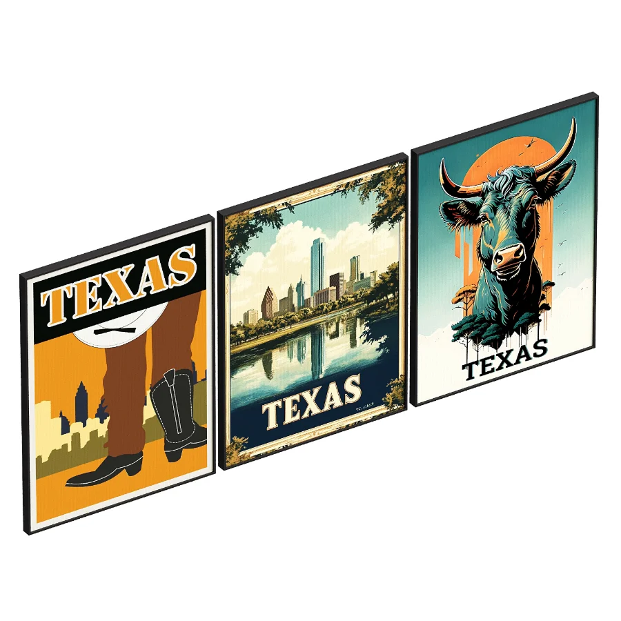 Texas Frame set Image 2