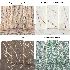 Stone 147 (Calacatta, Terrazzo, Wave onyx) - Thumbnail 6