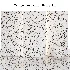 Stone 148 (Palladiana Carrara, Terrazzo, Luxury Marble) - Thumbnail 2