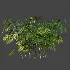 AV Plant Rhapis Excelsa Palm Bush 02 - Thumbnail 4