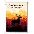 Scotland Frame - Thumbnail 2