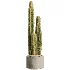 AV Indoor Plants Set 512 Olive Orange Tree Banana Cactus Echinocactus Yucca - Thumbnail 5