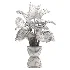 Monstera indoor-Plants-set033 - Thumbnail 1