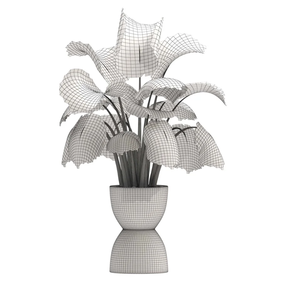 Monstera indoor-Plants-set033 Image 1