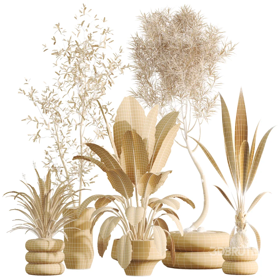AV Indoor Plants Set 517 Ficus Coconut Palm Ficus Elastica Olive Eucalyptus Image 9