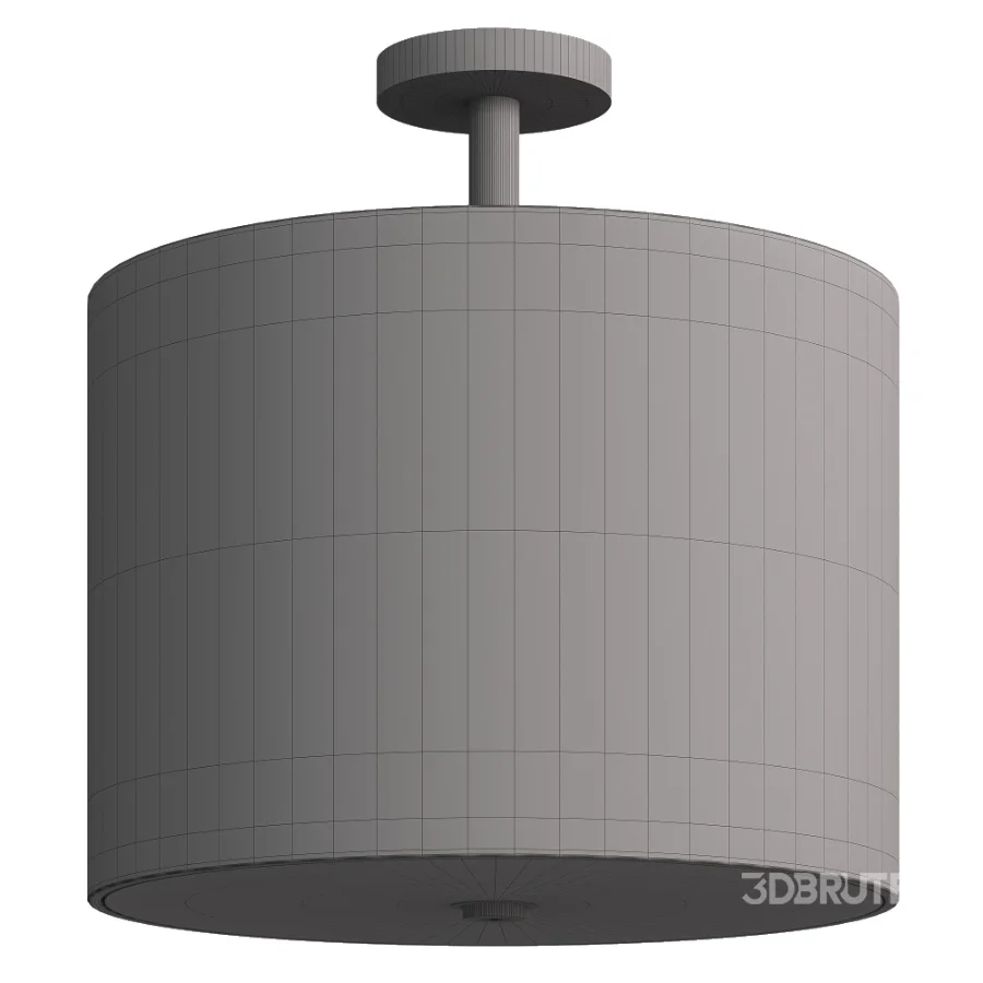 Flush Mount Ceiling Light Image 4