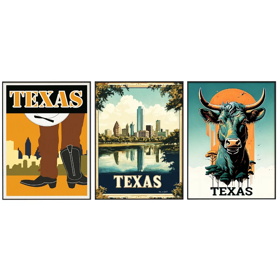 Texas Frame set Image 3
