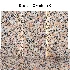 Stone 146 (Rosavel, Granite, Gray & Beige stone) - Thumbnail 3