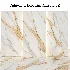 Stone151 (Breccia Capraia, Calacatta Borghini, onyx, Carrara) - Thumbnail 2