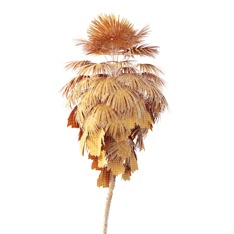 AV Plant Washingtonia Robusta 6 Palm Tree 02 Image 6