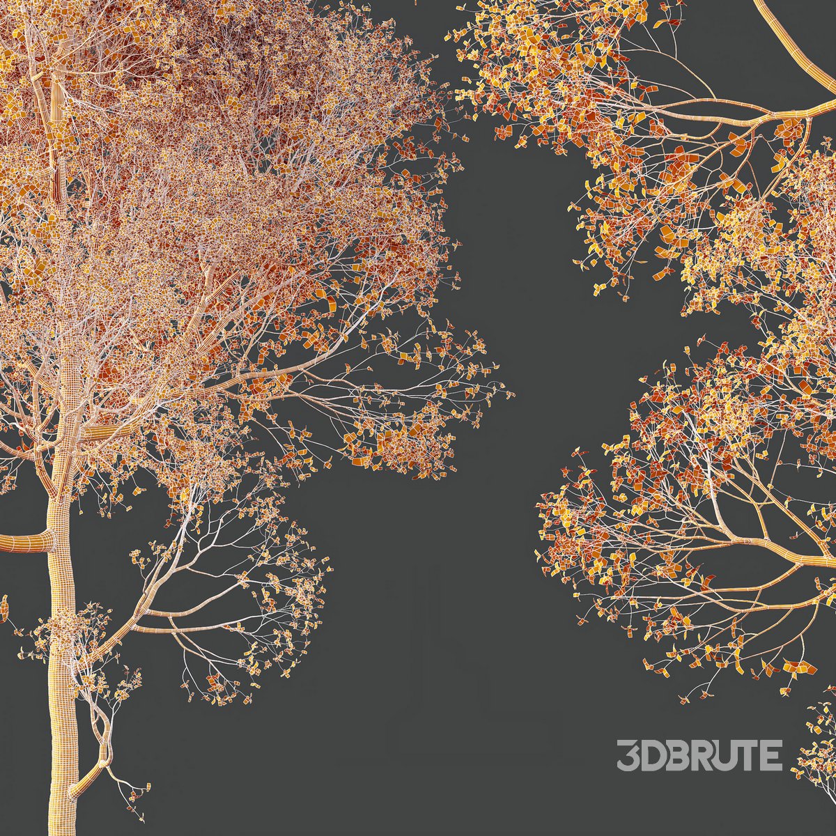 ◆sala tree◆ HQ Plants Shorea Robusta Sal Tree04 3d model Buy Download